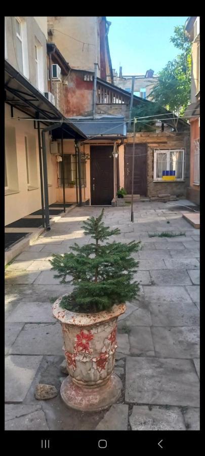 Александровский Odessa Exteriör bild